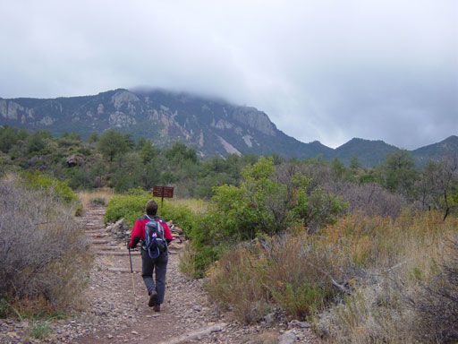 Emory Peak